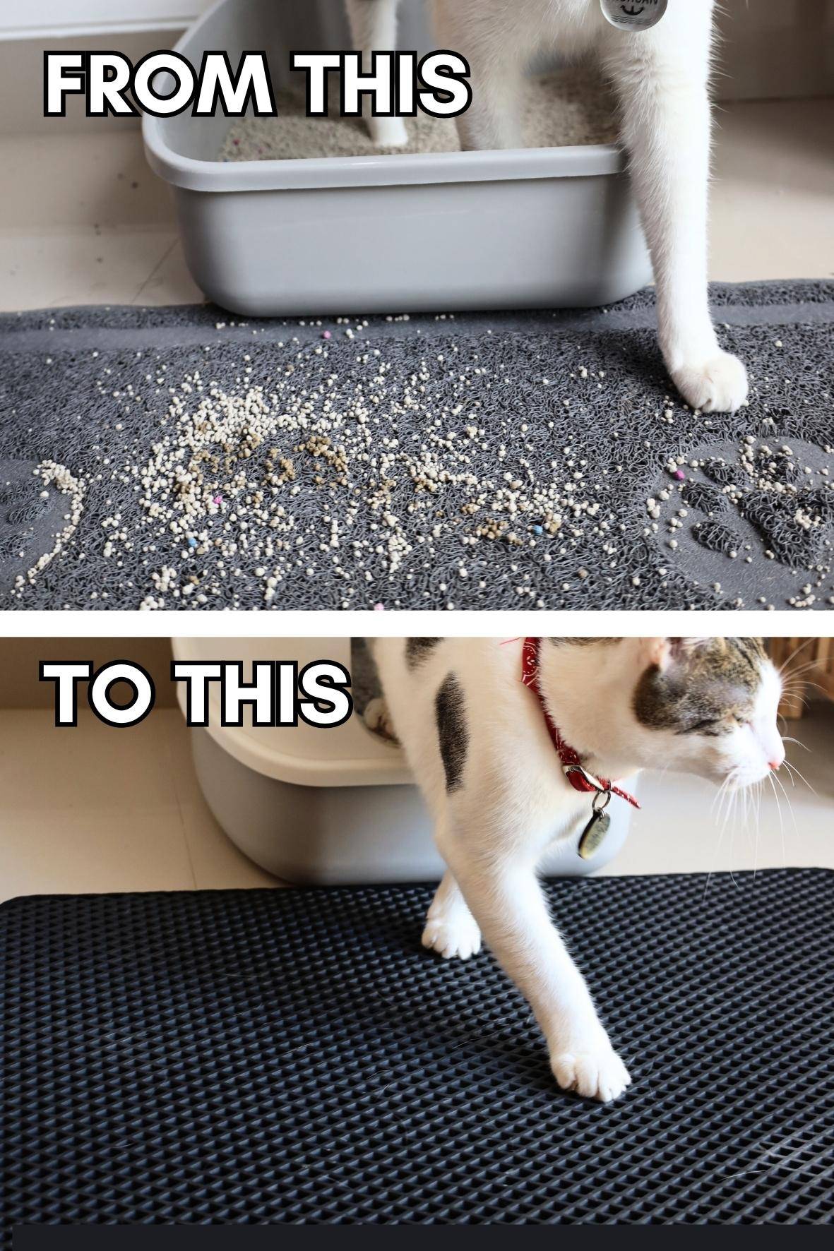 NoMess Cat Mat Kienza